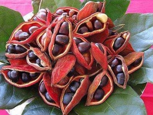 ƻ�ŵ�Ӫ����ֵ ƻ�ŵ�ʳ�÷���