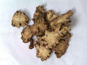 ��Ѫ������ ��Ѫ����Ч ��Ѫ����������