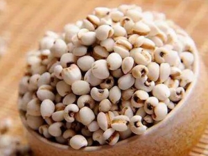 ������ʪ��ʳ�� ������ʪ��ʲô��