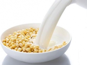 �ո���ʲô���� ��α���������