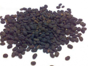 ������Ѫ������ ������Ѫ����Ч ������Ѫ����������