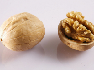 ������㣿������ʲô����Ӫ��