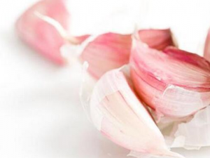 4����Ԥ�����ּ���