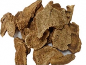 ��Ƣ��ʳ��ľ����μ���