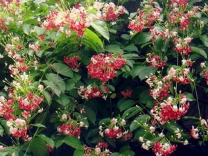 �����账�� �����蹦Ч �������������