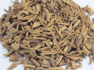 ���ʪ��������ܴ��μ���