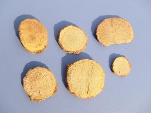 ��ľͨ�Ĺ�Ч�����ü�����