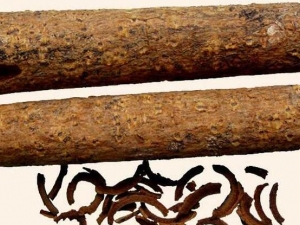 ���ӵĹ�Ч�����ü�����