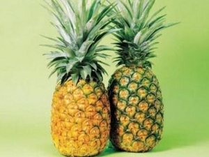 ����û����Գ��𣿲��ܿ��Ա�����