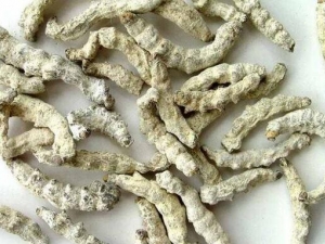 ���۵Ĺ�Ч�����ü�����