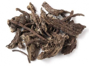 ��ͬ��©«��μ���