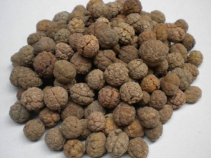 ��ޢ����Բ����� ��ޢ����Բ�Ĺ�Ч