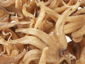 ҩ�÷�����ʳ�÷��ֹϵļ���