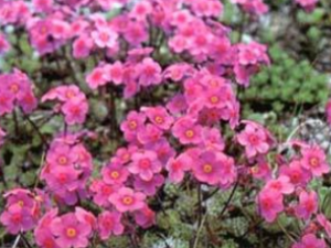 ��컨���÷