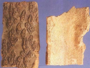 ����Ƥ�Ĺ�Ч������