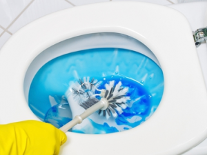 ����������Ͱ�й��� ����������Ҫ����