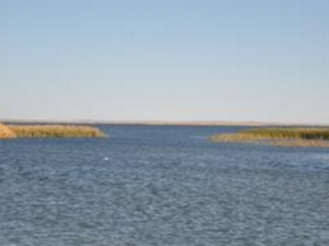 ���������� ������Ĵ���