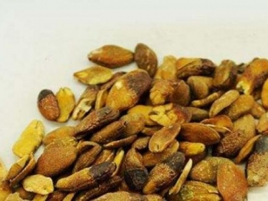 ��Ƥ�˵Ĺ�Ч�����ü�Ӫ����ֵ