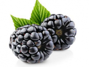 ��ݮ��������Щ��Ч ��ݮ��ҩ�ü�ֵ