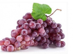 ���ѵ�������Ч ������һ���̲�ҩƷ