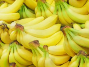 �㽶�ܹ�������ʮ�ּ��� ��֪����