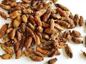 ľ��ޤ�Ĺ�Ч�����ü�����