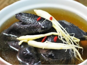 ���ڳ�ʲô����ʹ�� ���ں�ʲô����