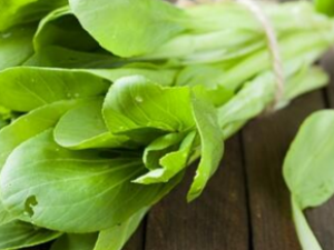 Ҷ߲ũҩ ӦҶ߲ϵũҩ