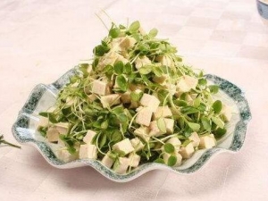 ����ʱ��������� ����ʱ�ڳ�ʲô��