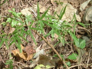 �������ٸ�