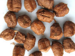 ����ɢ����� ����ɢ�Ĺ�Ч