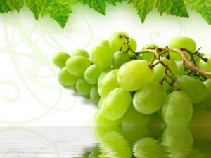 �����ӵ�Ӫ����ֵ �����ӵ�ʳ�÷���