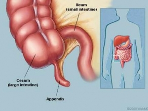 ��βʹ��ô�� ��βʹ��λ���