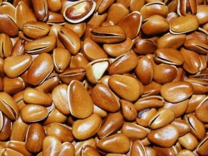 ���ӵ�Ӫ����ֵ ���ӵ�ʳ�÷���