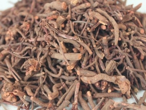 ������������� �����������Ч �����������������