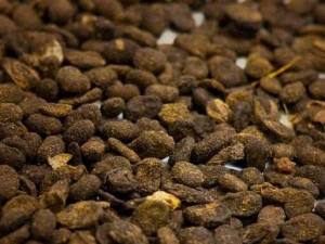 ����֬�������� ����֬������Ч ����֬������������