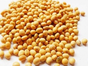 󶹵Ӫֵ ŮԴ󶹵ĺô