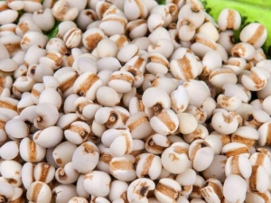 ޲�׵�Ӫ����ֵ ޲�׵�ʳ�÷���