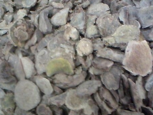 ��Ӫɢ���� ��Ӫɢ��Ч ��Ӫɢ��������