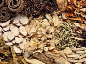 �����ƵĹ�Ч������ �ⶾ��ʪ ���ֹ��