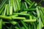 韭菜苔的营养价值 韭菜苔的食用方法