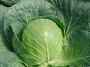 �����Ĺ�Ч������ ����������Ӧ��