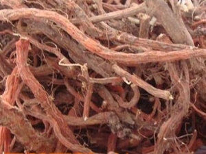 ������Ĺ�Ч������ �������������