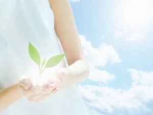 ����������ע������ ����������ʲô��