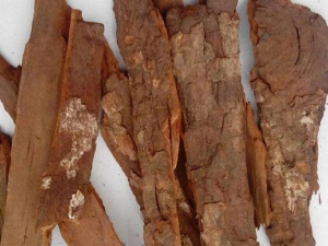 �������Ĺ�Ч������ �������ĸ���