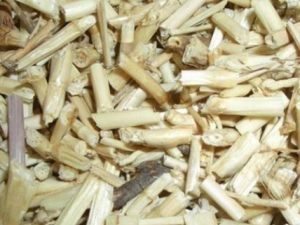 ��ëɽ����