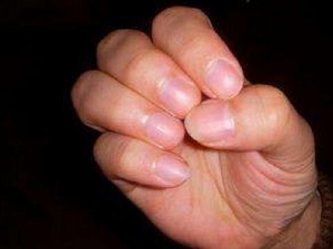 �ι��ܺò��ÿ�ʳָ�����಻����ε���