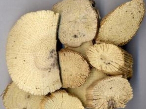 ��Ҷ���Ĺ�Ч������ ��Ҷ���ĸ���