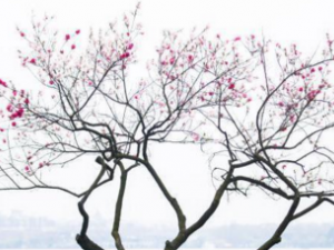 ����̺���һ��ÿ��� �һ��������ݹ�Ч��