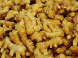 �����ദ�� �����๦Ч �������������